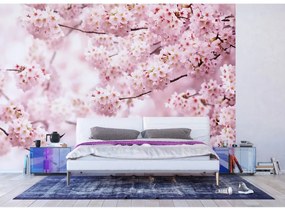 Vliesová fototapeta XXL Sakura 360 x 254 cm, 4 diely