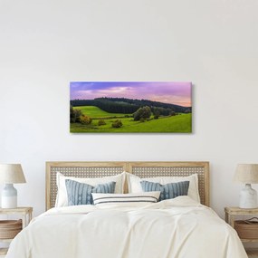 Obraz lúky (120x50 cm)