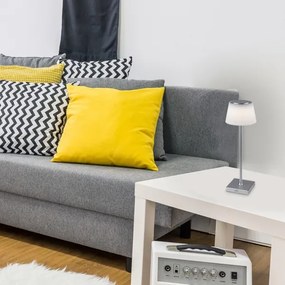 Rabalux 76013- LED Stmievateľná nabíjacia stolná lampa TAENA 4W/3,7V IP44 strieborná