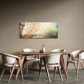 Obraz - Rastliny po daždi (120x50 cm)