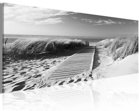 Artgeist Obraz - Sea-breeze Veľkosť: 150x50, Verzia: Na talianskom plátne
