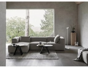 Odkladací stolík z dubového dreva 30x55 cm Avio – Blomus