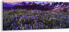 Obraz - Sopka a kvety (120x50 cm)