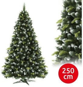 Vianočný stromček 250 cm borovica