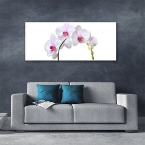 Obraz plexi Vstavač orchidea kvety 125x50 cm