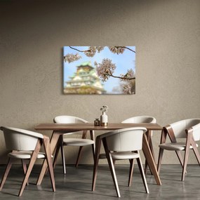 Obraz - Sakura (90x60 cm)