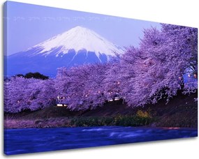 Obraz na stenu KRAJINA