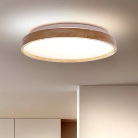Brilagi - LED Stmievateľné stropné svietidlo ALSON LED/48W/230V 3000-6500K + DO