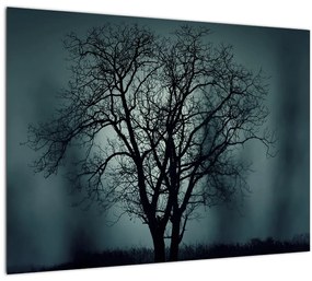 Sklenený obraz stromov pri zatmení (70x50 cm)
