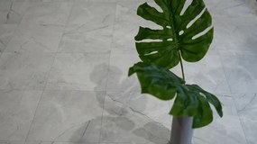 PVC podlaha Viva Venato S94 sivá