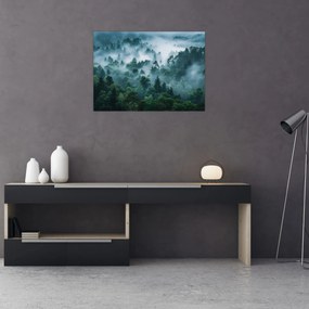 Sklenený obraz - Les v hmle (70x50 cm)