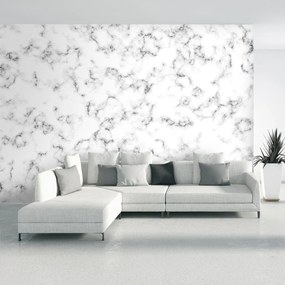 Fototapeta - Biely mramor (147x102 cm)
