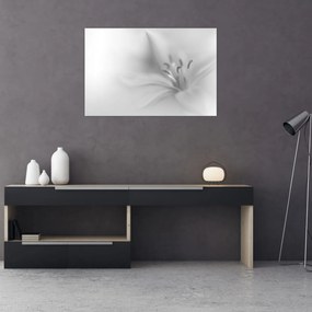 Obraz - Jemná ľalia (90x60 cm)
