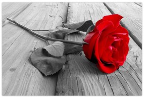 Obraz červených ruží (90x60 cm)