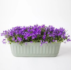 BAMA Hrantík ETIKA SL, farba šalvia Množstvo: 2 ks, Rozměry: 48 cm