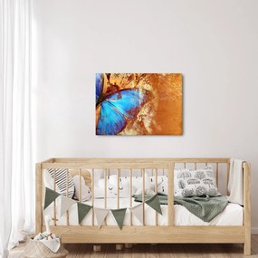 Obraz - Modrý motýľ (70x50 cm)