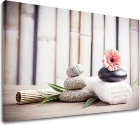 Obraz na plátne FENG SHUI_053-11