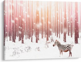 Obraz - Zebra v zasneženom lese (70x50 cm)