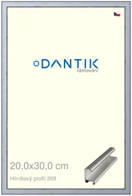 DANTIK rám na obraz 20x30 | ALU Sstříbrná broušená (Sklo Čiré)