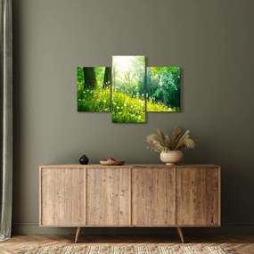 Obraz - Magická lúka plná púpav (90x60 cm)