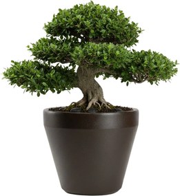 Květináč Purea 56,6x61x3 cm mokka hnědý