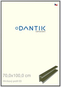 DANTIK rám na obraz 70x100 | ALU Platina matná (Plexi Čiré)