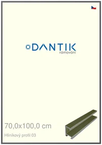 DANTIK rám na obraz 70x100 | ALU Platina matná (Plexi Čiré)
