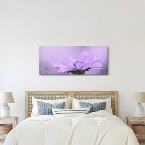 Obraz - Fialový kvet (120x50 cm)