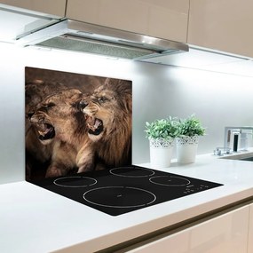 Sklenená doska na krájanie Žiarivou levy 60x52 cm