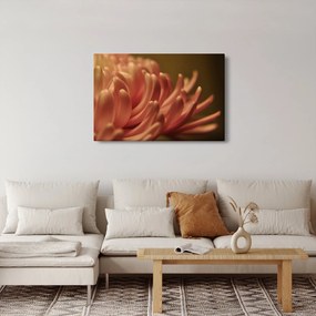Obraz detailu kvety (90x60 cm)