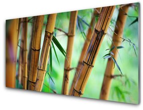 Obraz na akrylátovom skle Bambus príroda rastlina 140x70 cm