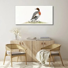 Obraz na plátne Kreslenie zvierat vták kačica
