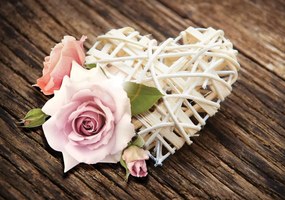 Fototapeta - Srdce a ruže na drevených doskách (254x184 cm)
