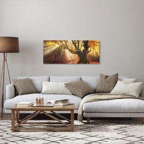 Obraz - Jesenný svit (120x50 cm)