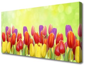 Obraz Canvas Tulipány kvety rastlina 140x70 cm