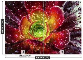 Fototapeta Vliesová Červený kvet 104x70 cm