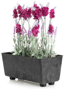 PLASTOVÝ KVETINÁČ SALVIA 28,5X17 CM IMITÁCIA BETÓNU ČIERNA