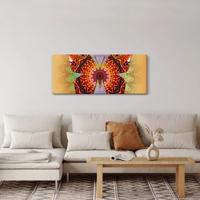 Obraz - Etno motýľ (120x50 cm)