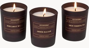 Vonné sviečky Adamsbro (Bergamot Wood, Amber, Lemon Verbena), 3 ks