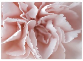 Sklenený obraz - Detail kvetu (70x50 cm)