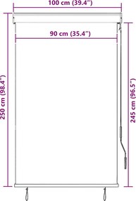 vidaXL Vonkajšia zatemňovacia roleta 100x250 cm krémová