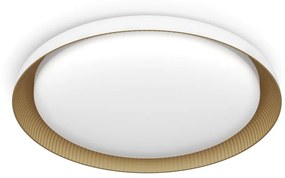 Philips - LED Stmievateľné stropné svietidlo PEBBLO LED/10W/230V 4000K biela