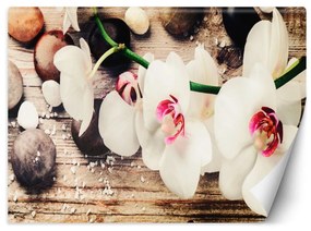 Fototapeta, Zenové orchideje - 150x105 cm