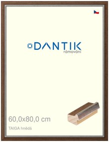 DANTIK rám na obraz 60x80 | TAIGA hnědá (Plexi Čiré)