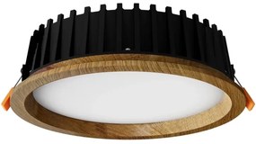 APLED - LED Podhľadové RONDO WOODLINE LED/12W/230V 4000K pr. 20 cm dub masív