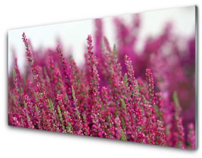 Skleneny obraz Kvety lúka príroda 125x50 cm