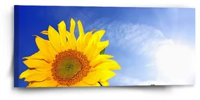 Sablio Obraz Slnečnice 2 - 110x50 cm
