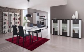 Vitrína Caracas typ 24, grafit/biely lesk, s osvetlením