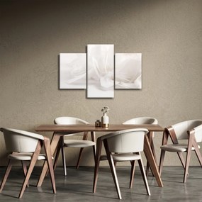 Obraz - Perie (90x60 cm)