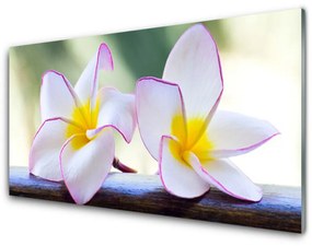 Skleneny obraz Kvety plátky plumérie 100x50 cm